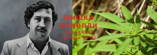мдпв Дмитров