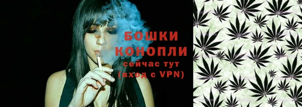 не бодяженный Дмитриев