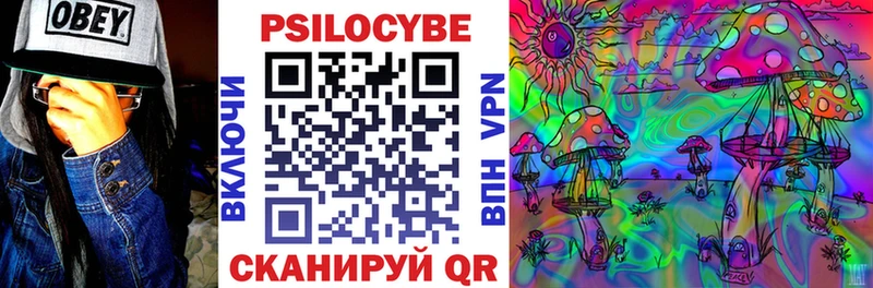 Псилоцибиновые грибы Cubensis  Долинск 